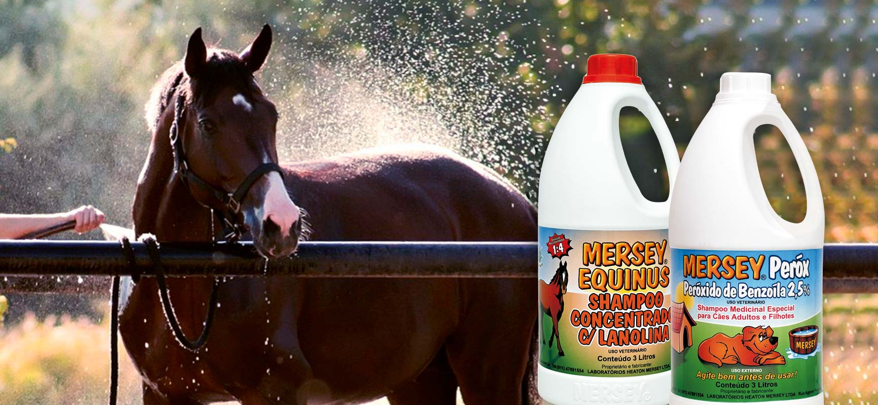 banner-mersey-perox-horse-1